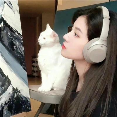 盗猎